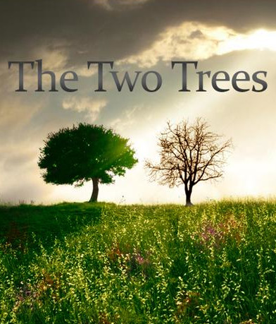 two trees